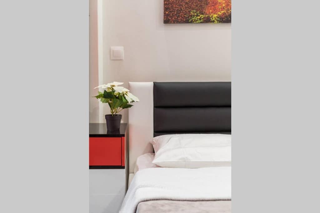 Luxury In Downtown Apartmán Soluň